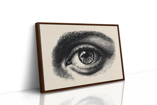 Windows To Ancient Knowledge Shelved