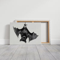 Nocturnal Scholar Hangs Between Pages