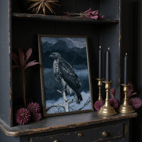 Hawk Weathering the Storm