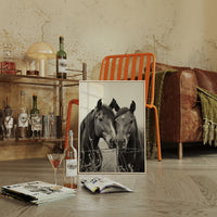 Close Companions at the Fence Line