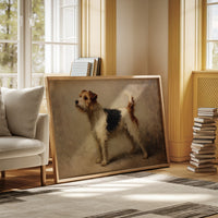 Noble Fox Terrier Stands Alert