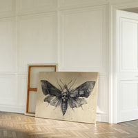 Moth's Lament Over Forgotten Tales