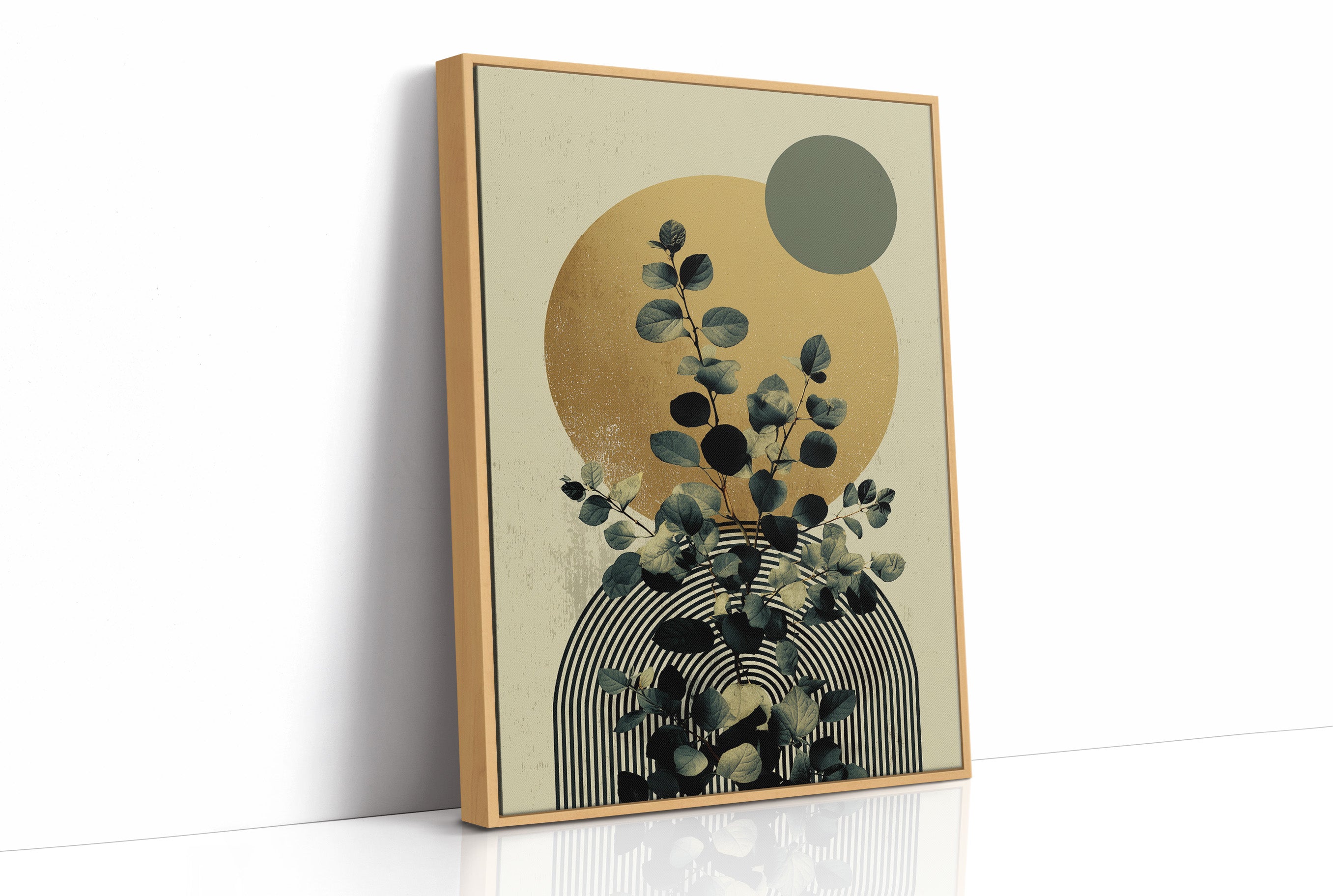 The Plant That Outgrew the Geometry
