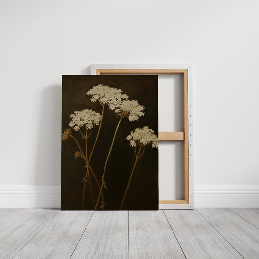 Queen Annes Lace in Late Autumn Light