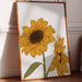 Golden Petals Greet Morning Sun