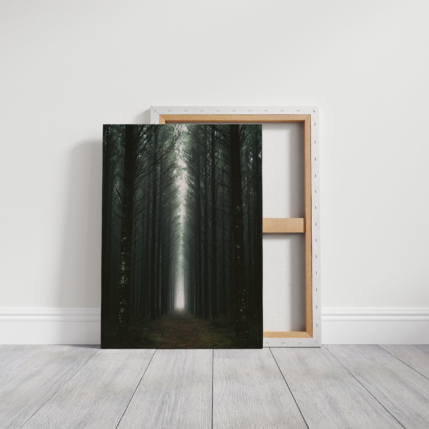Endless Pine Corridor Of Light