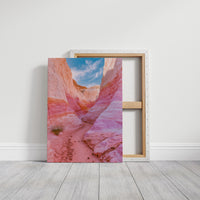 Pink Sandstone Slot Canyon