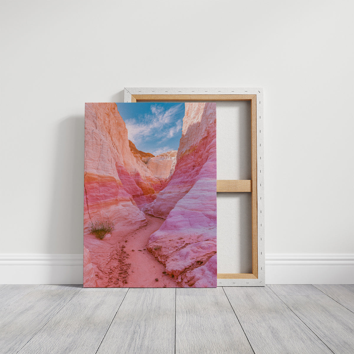 Pink Sandstone Slot Canyon