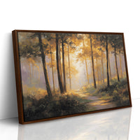 Forest Path Bathed In Light