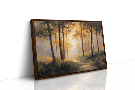 Forest Path Bathed In Light