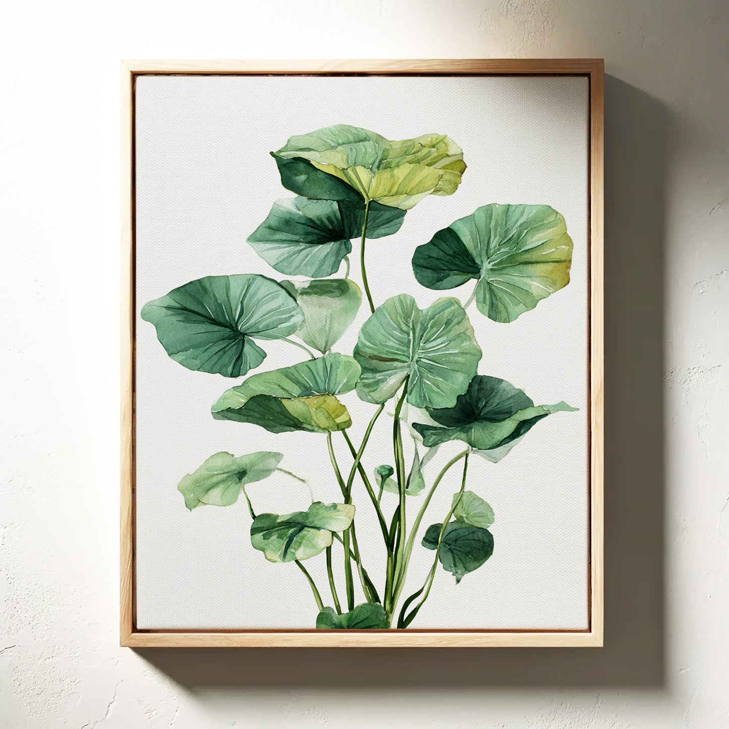 Lotus Leaves Dance In Sunlight