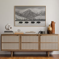 Where the Buffalo Roam