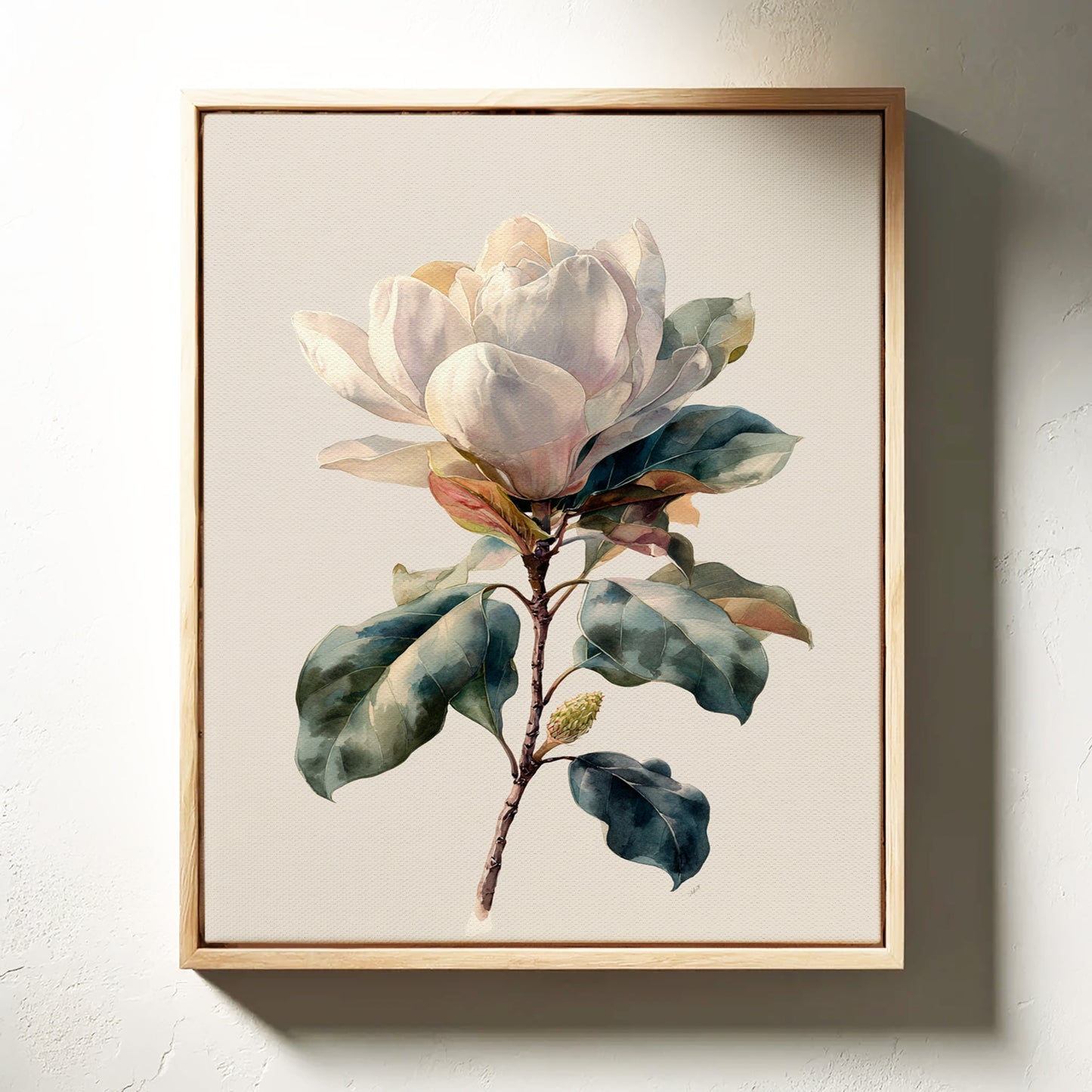 Southern Magnolia In Morning Light