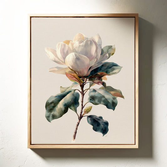 Southern Magnolia In Morning Light