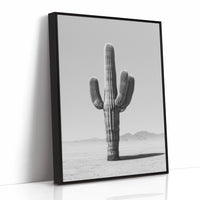 Solitude of the Desert Sentinel