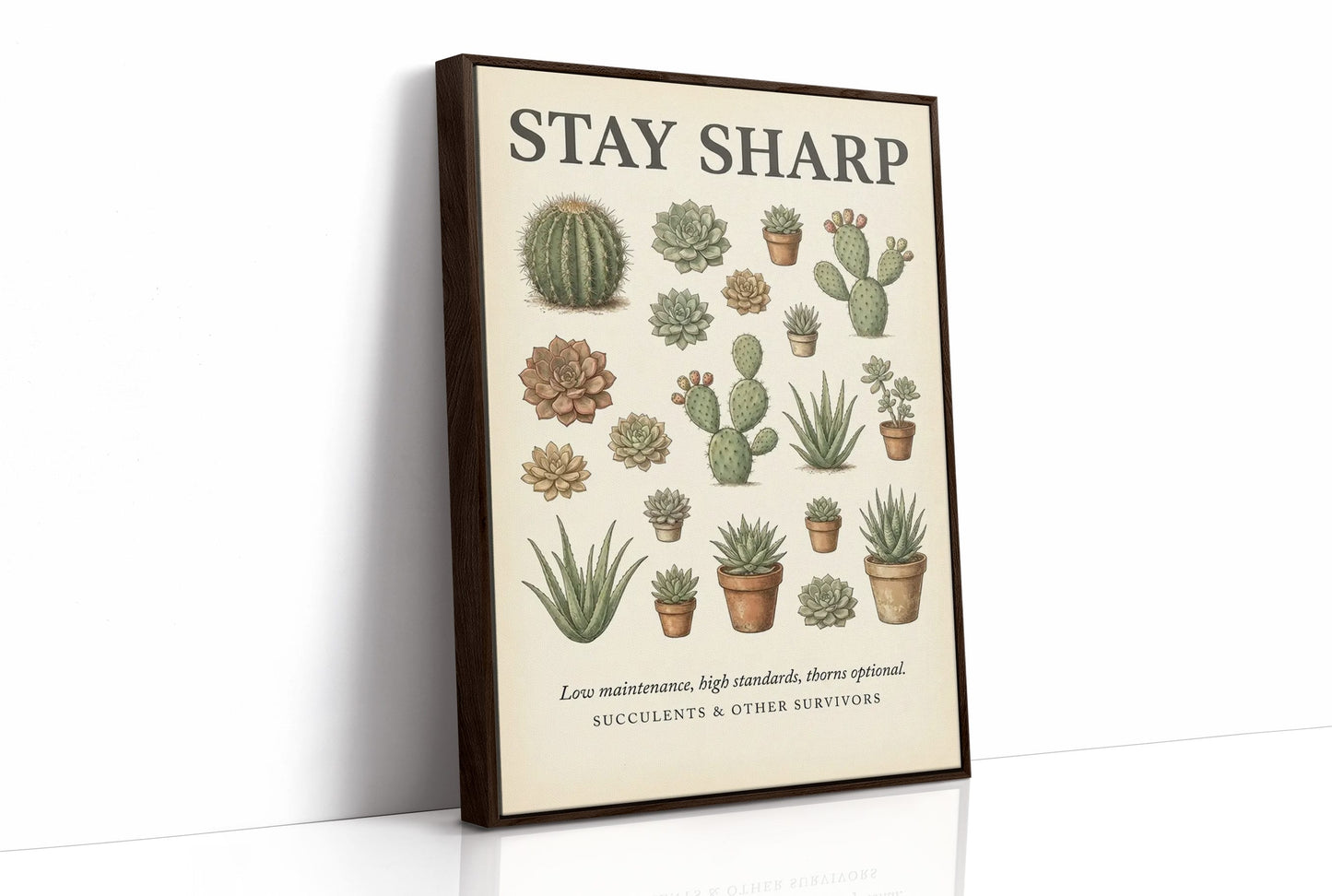 Stay Sharp: Vintage Succulent & Cactus Chart