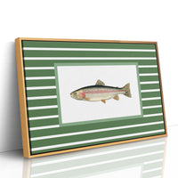Striped Current Rainbow Catch