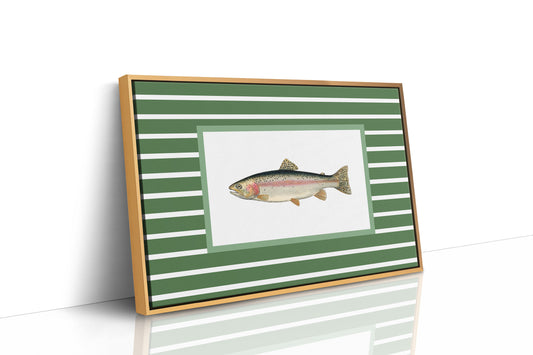 Striped Current Rainbow Catch