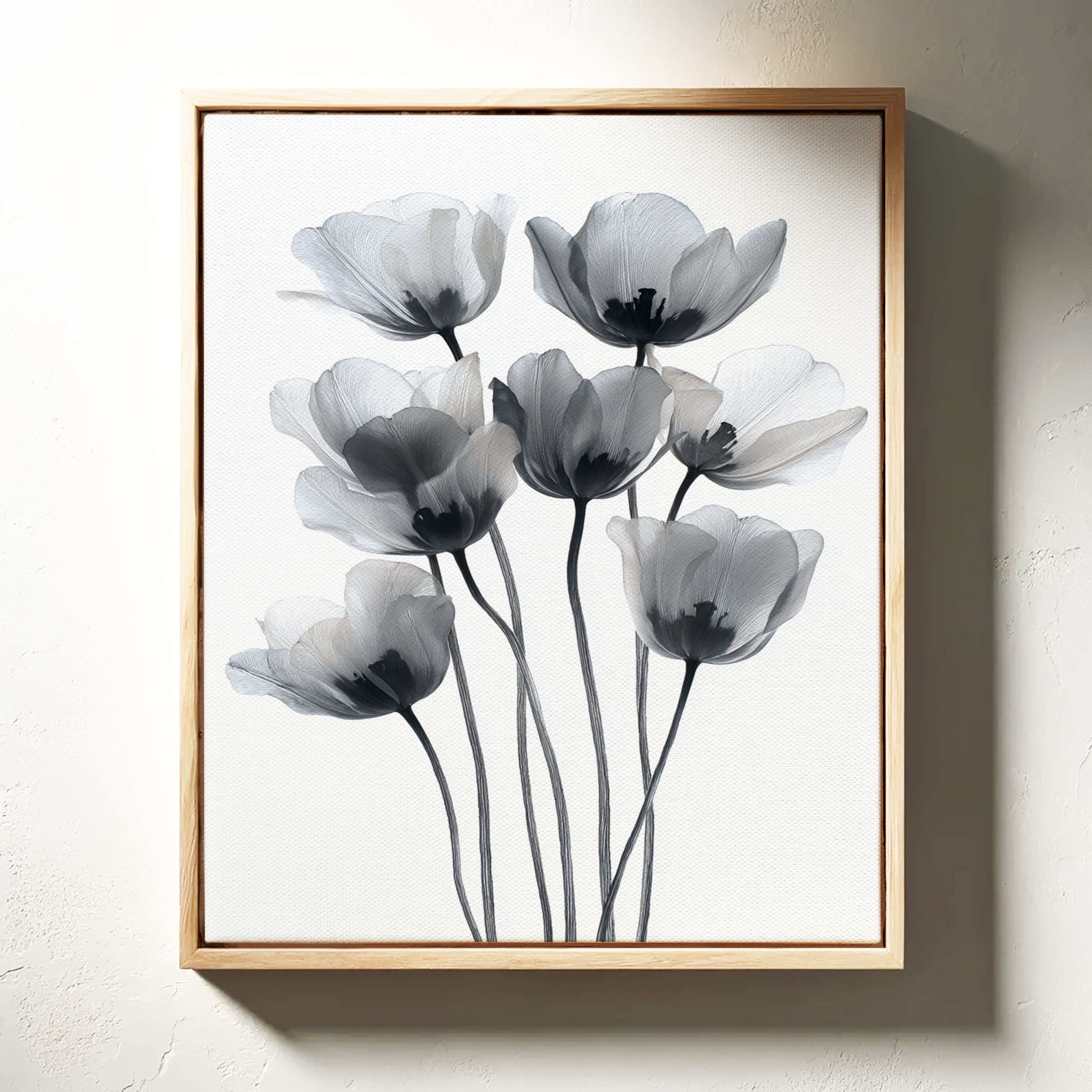 Tulips Dance In Silver Light