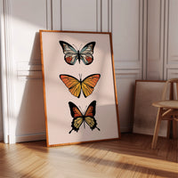Three Wings Tell Summer Stories