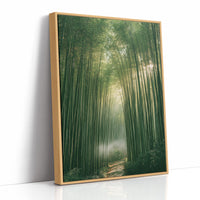 Misty Bamboo Forest Pathway