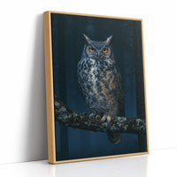 Great Horned Owl Night Portrait