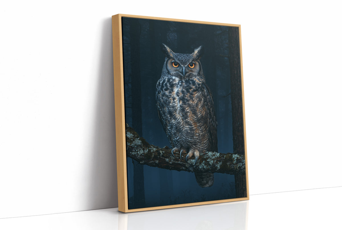 Great Horned Owl Night Portrait