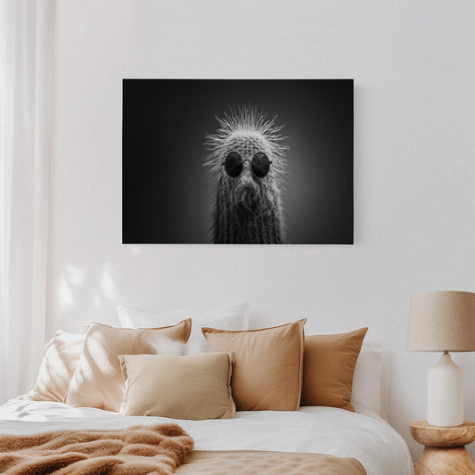 Too Cool for Prickles