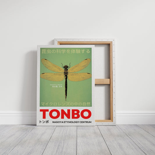 Tonbo – The Science of Dragonflies