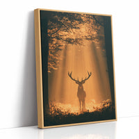 Where the Light Finds the Forest King
