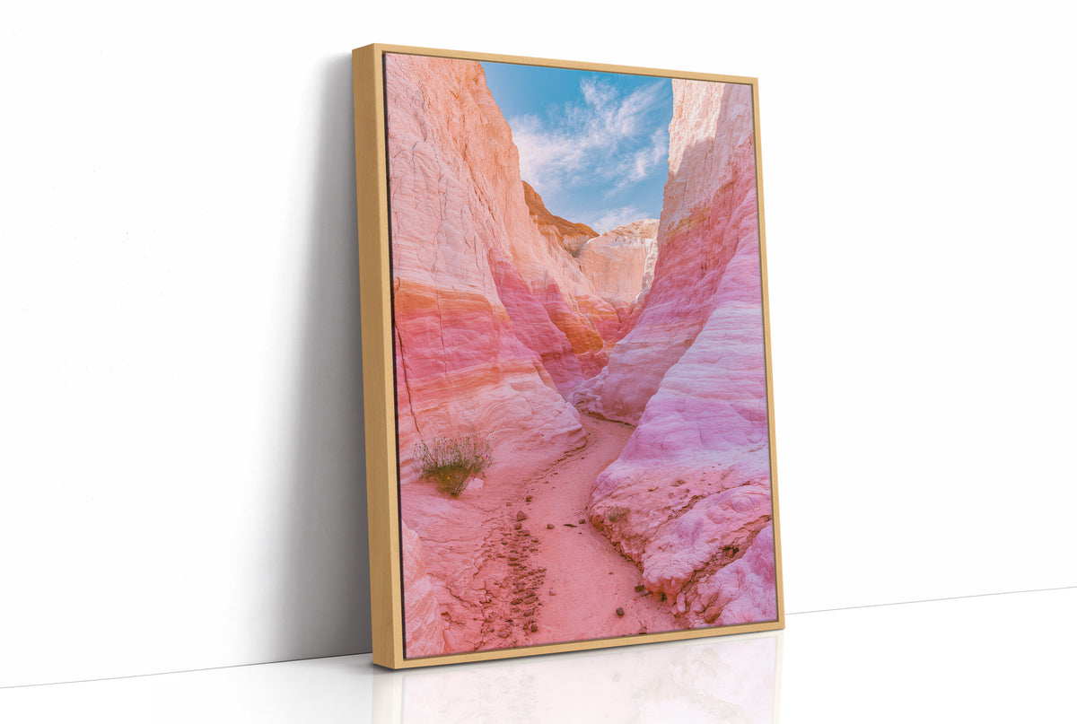 Pink Sandstone Slot Canyon