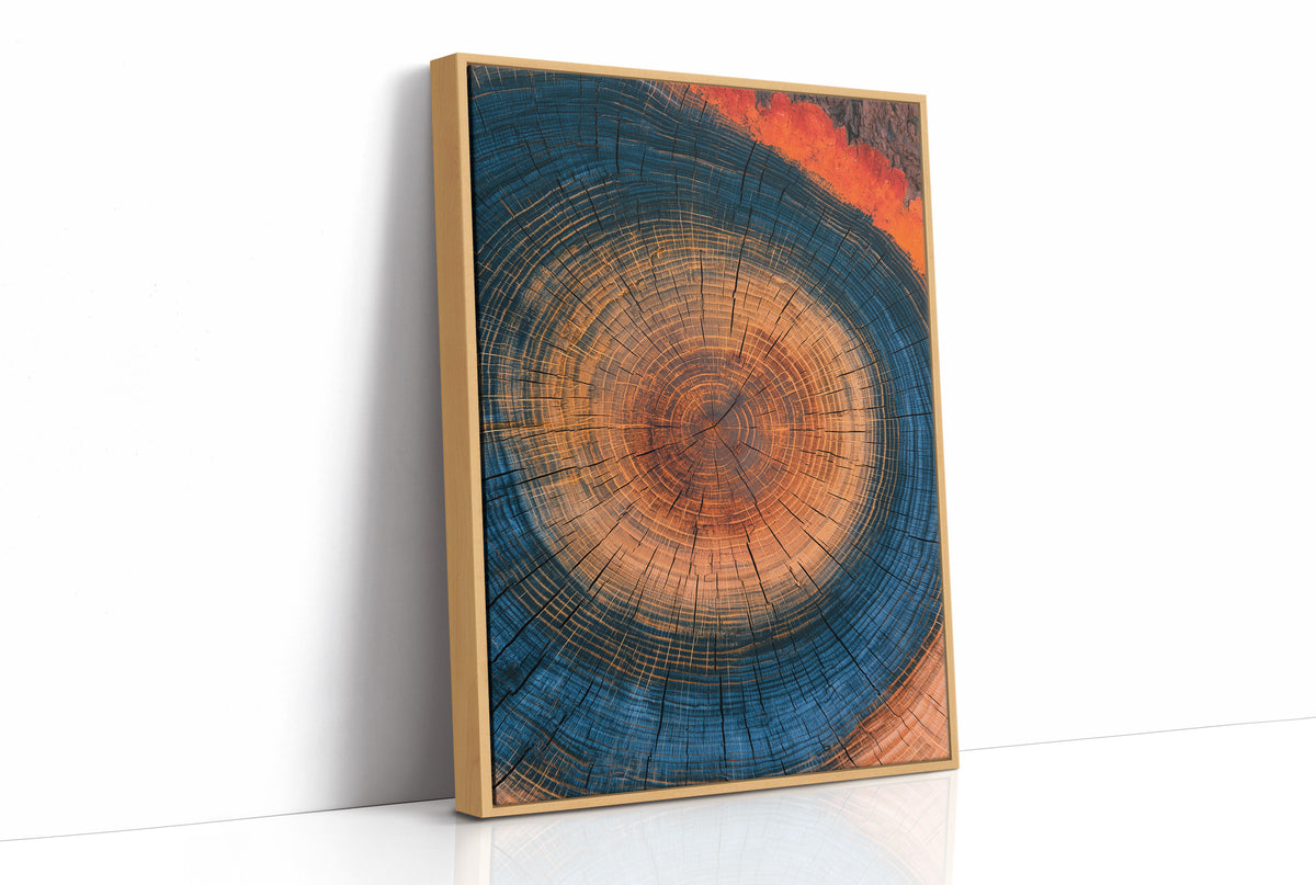Cosmic Tree Ring Cross Section