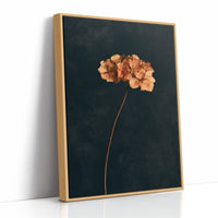 Dried Hydrangea Dark Still Life