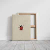 Tiny Ladybug on Paper