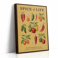 Spice of Life: Vintage Chili Pepper Chart