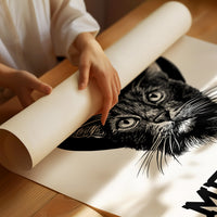 Meowdy Partner Bold Edition