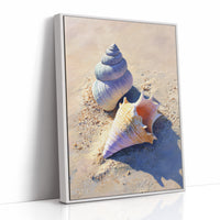 Coastal Treasures On Sunlit Sand