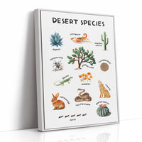Arid Land Chronicles Illustrated