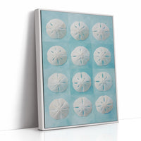 Sand Dollars Dance On Teal
