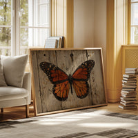 Weathered Wings Tell Summer Stories