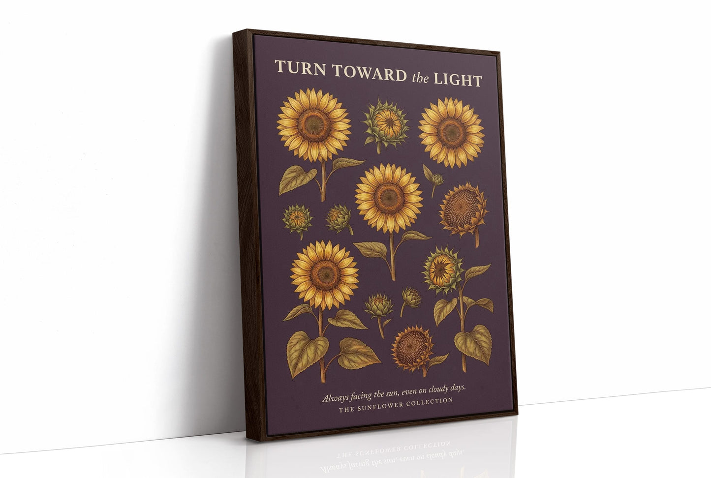 Turn Toward the Light: Vintage Sunflower Chart