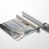 Winter Forest Holds Noble Secret