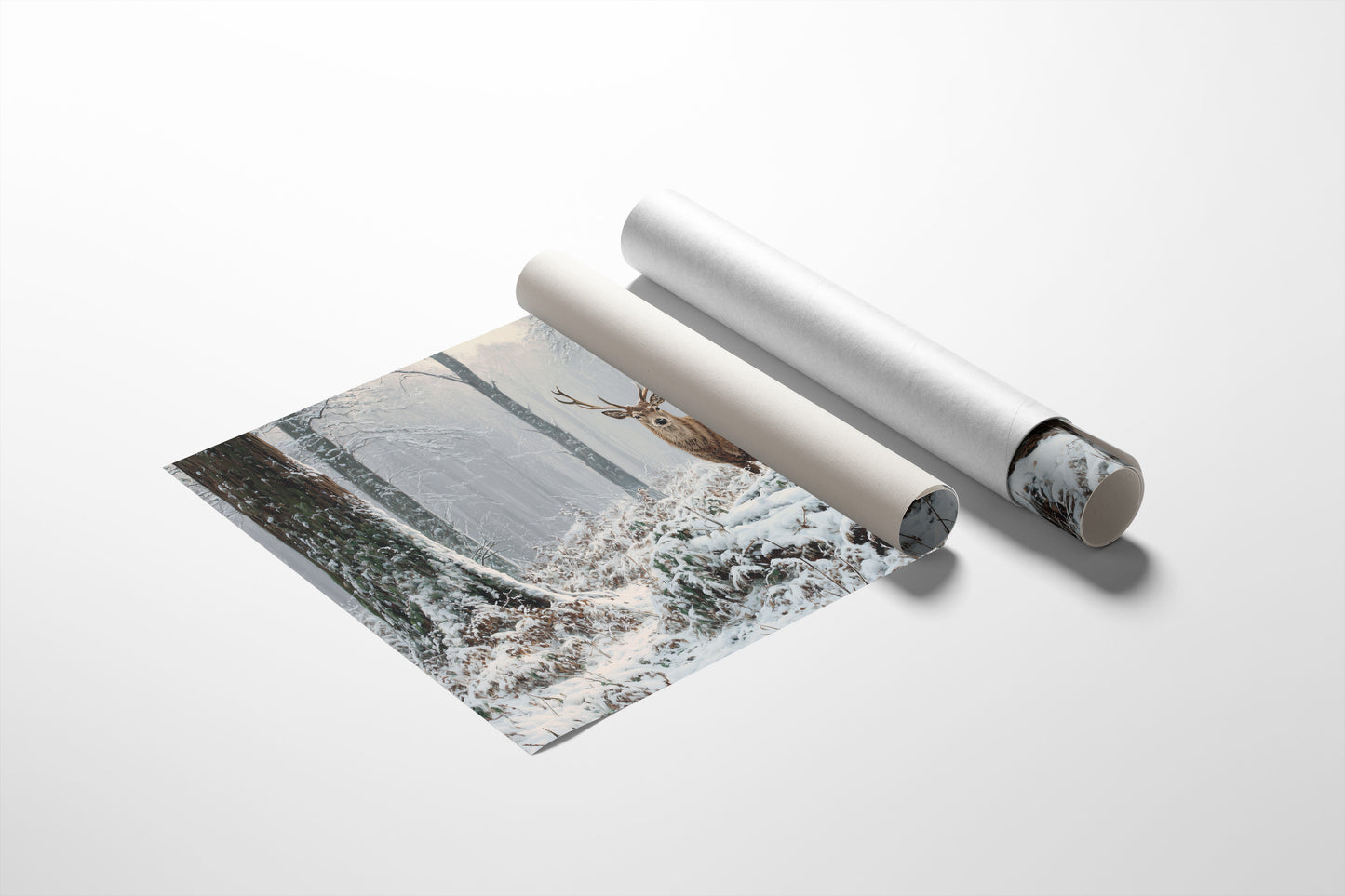 Winter Forest Holds Noble Secret