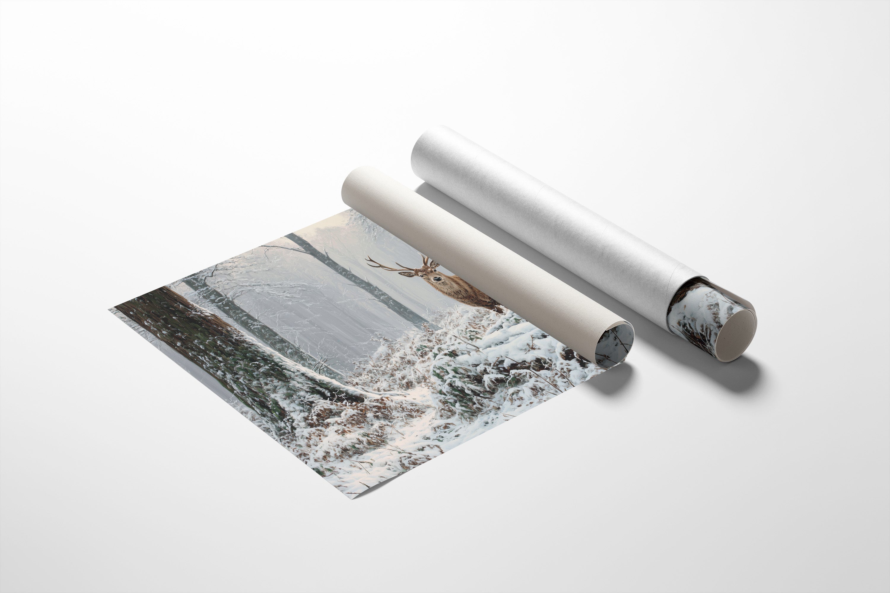 Winter Forest Holds Noble Secret