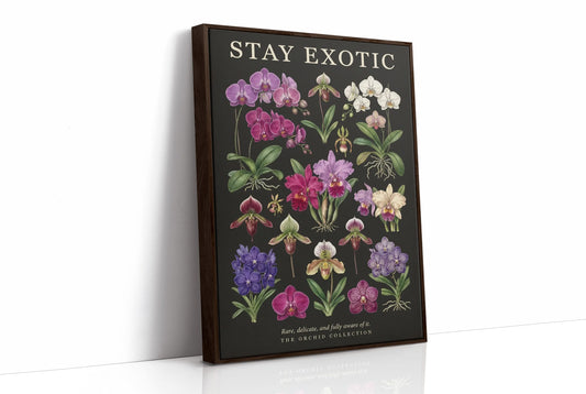 Stay Exotic: Vintage Orchid Chart