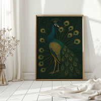 Regal Silence of the Golden Peacock