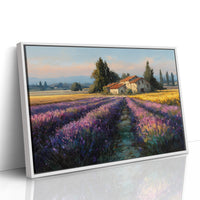 Provence Lavender at Golden Hour