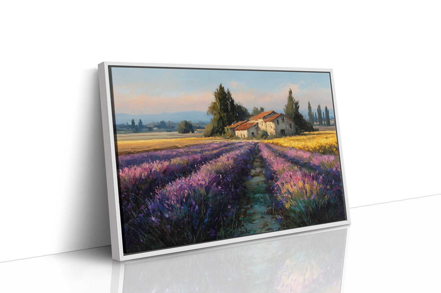 Provence Lavender at Golden Hour