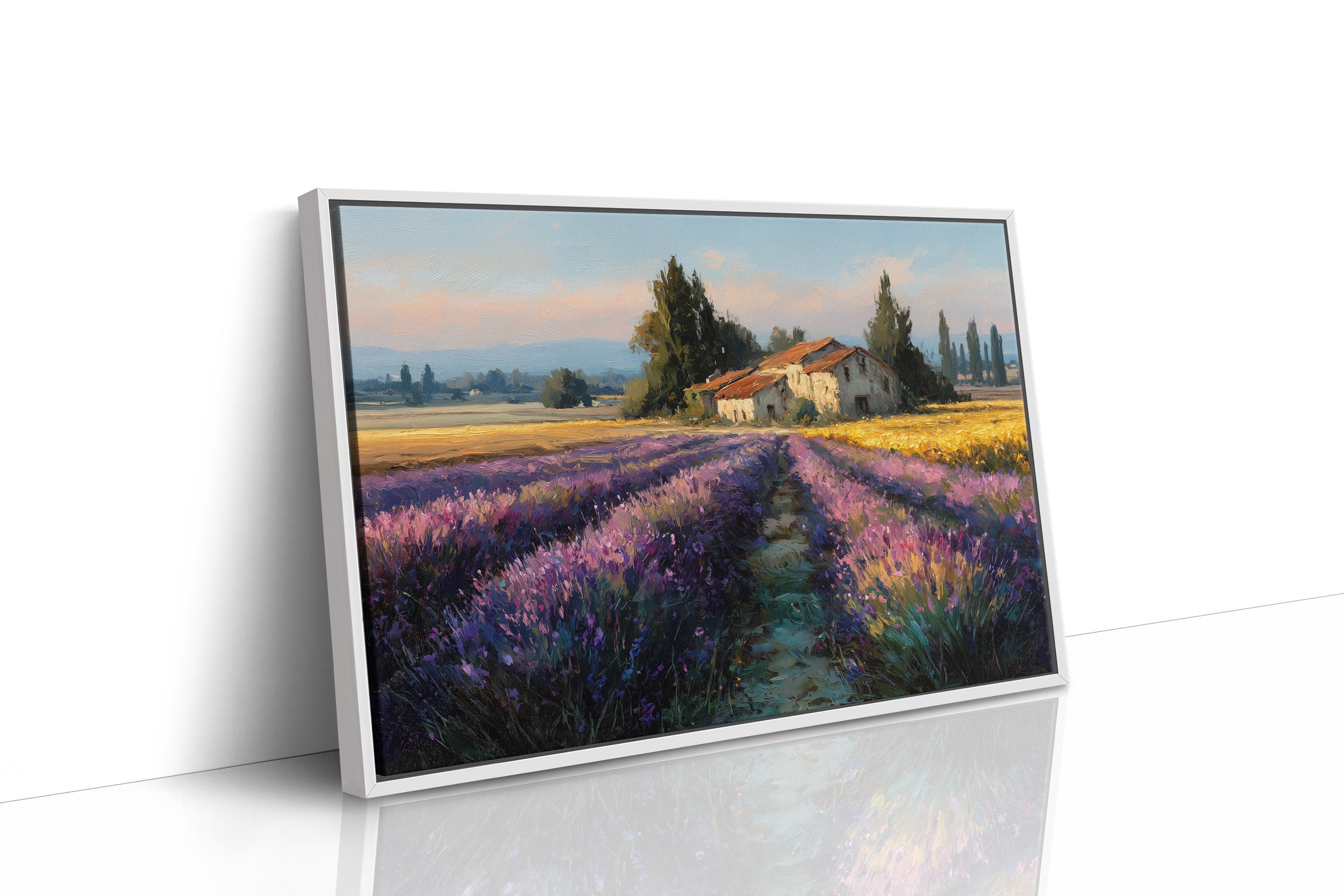 Provence Lavender at Golden Hour