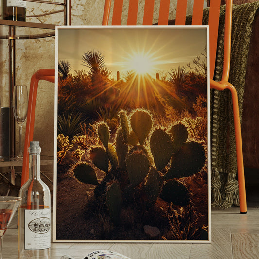 Desert Light Prickly Pear at Sunset